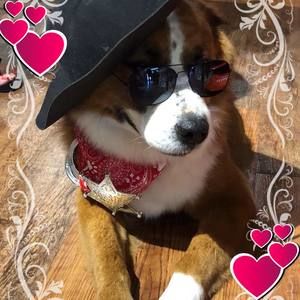 Meet your Posher, Chantel